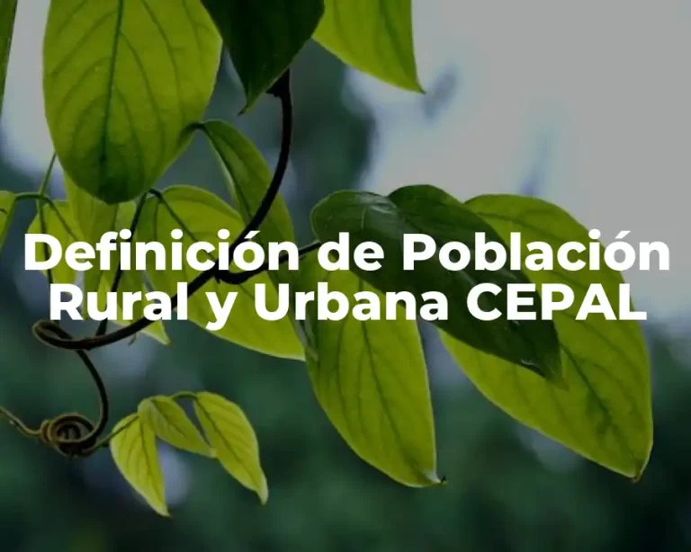 Definición de Población Rural y Urbana CEPAL