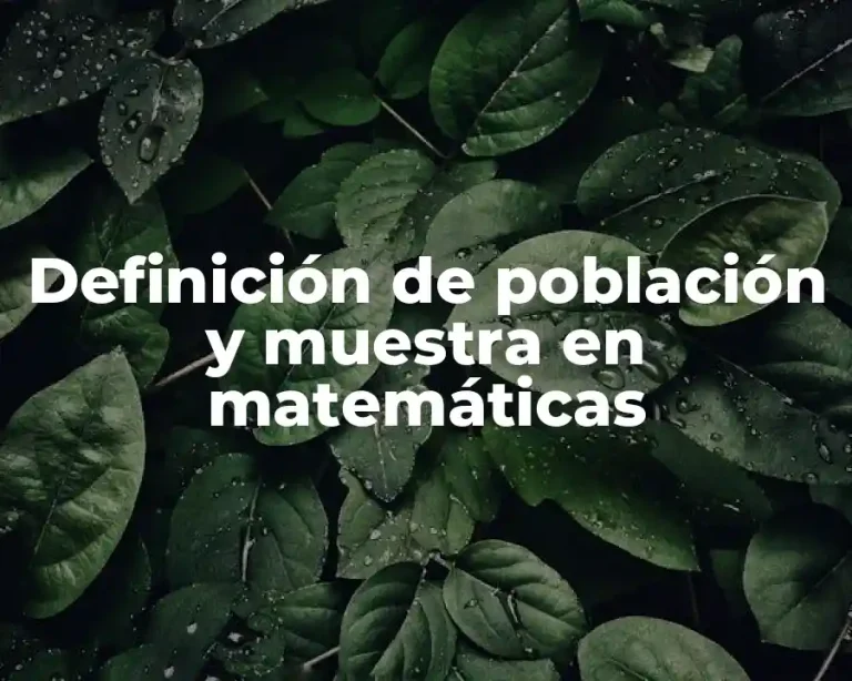 Definición de población y muestra en matemáticas