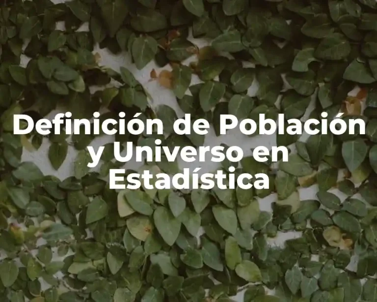 Definición de Población y Universo en Estadística