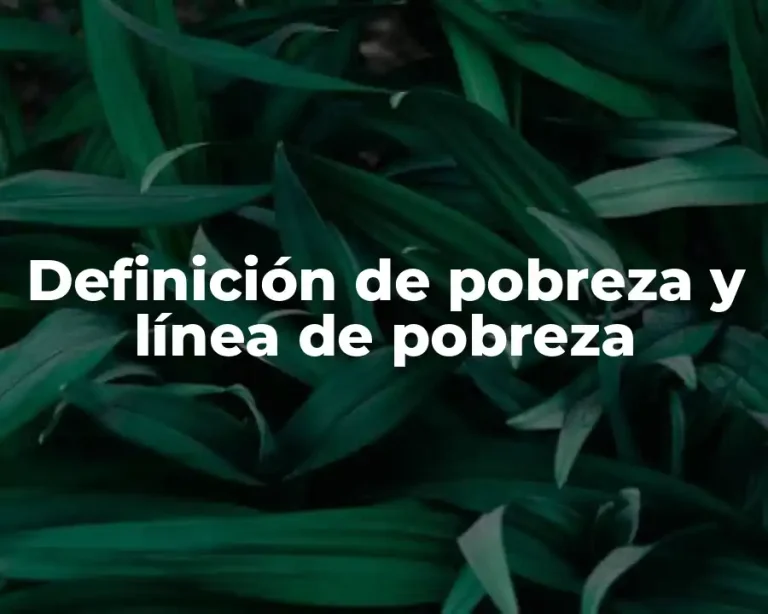 Definición de pobreza y línea de pobreza