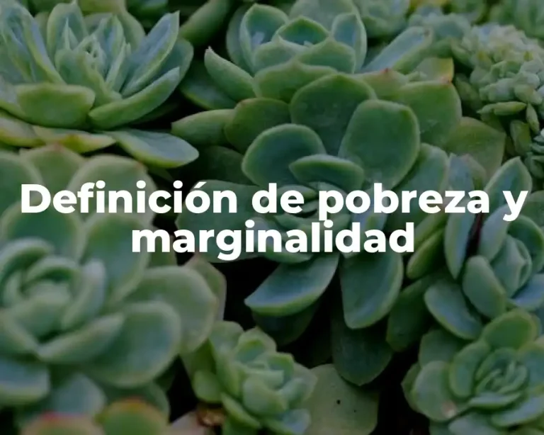 Definición de pobreza y marginalidad