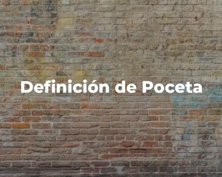Definición de Poceta
