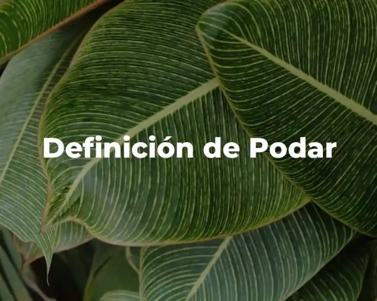 Definición de Podar