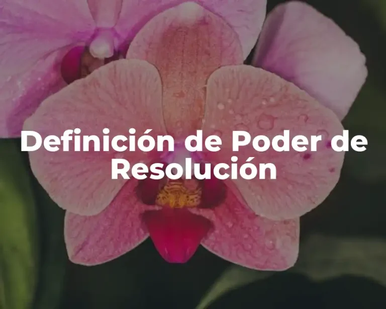 Definición de Poder de Resolución