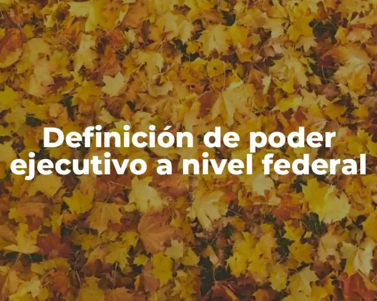 Definición de poder ejecutivo a nivel federal