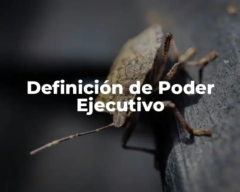 Definición de Poder Ejecutivo