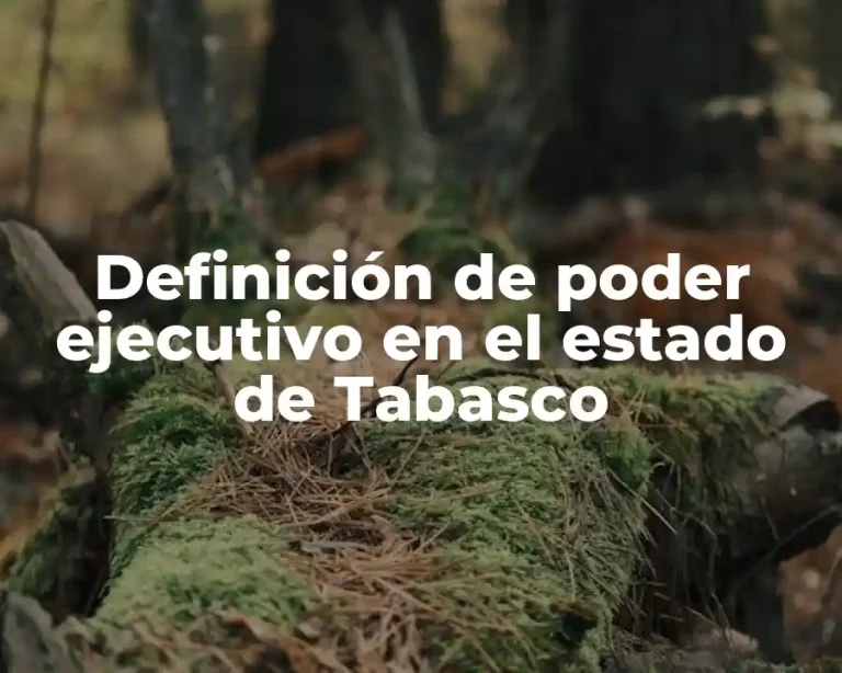 Definición de poder ejecutivo en el estado de Tabasco