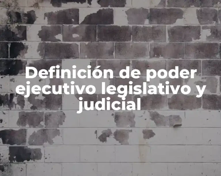 Definición de poder ejecutivo legislativo y judicial