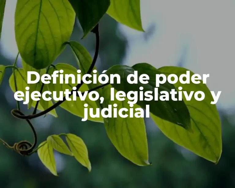 Definición de poder ejecutivo, legislativo y judicial