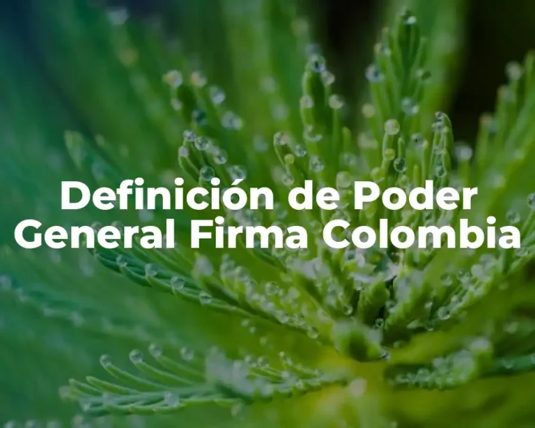 Definición de Poder General Firma Colombia