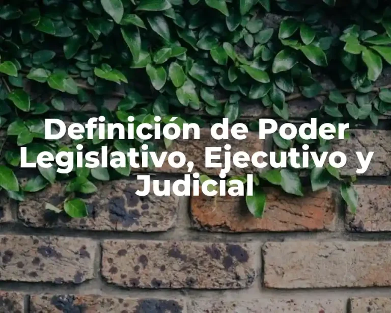 Definición de Poder Legislativo, Ejecutivo y Judicial