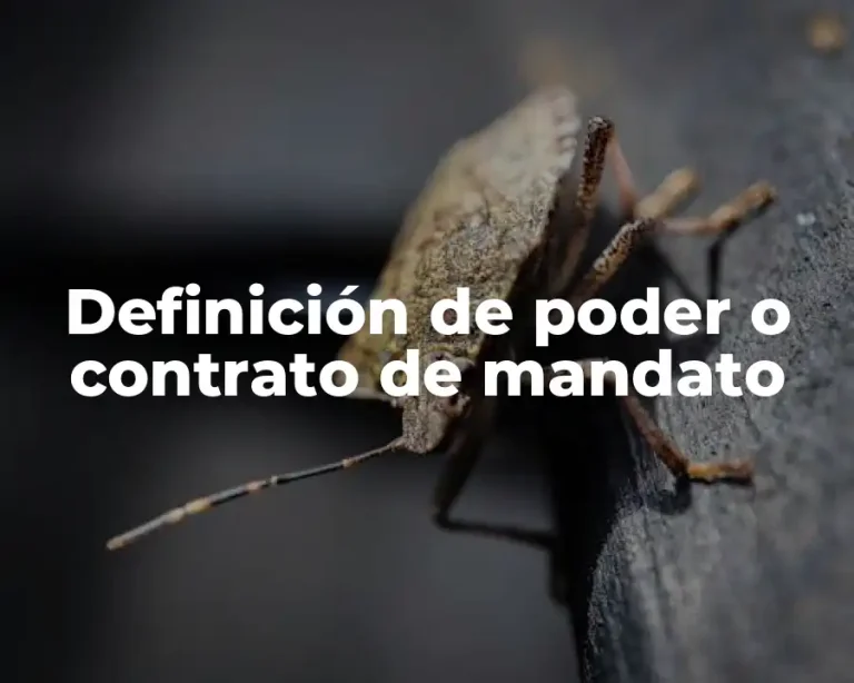 Definición de poder o contrato de mandato
