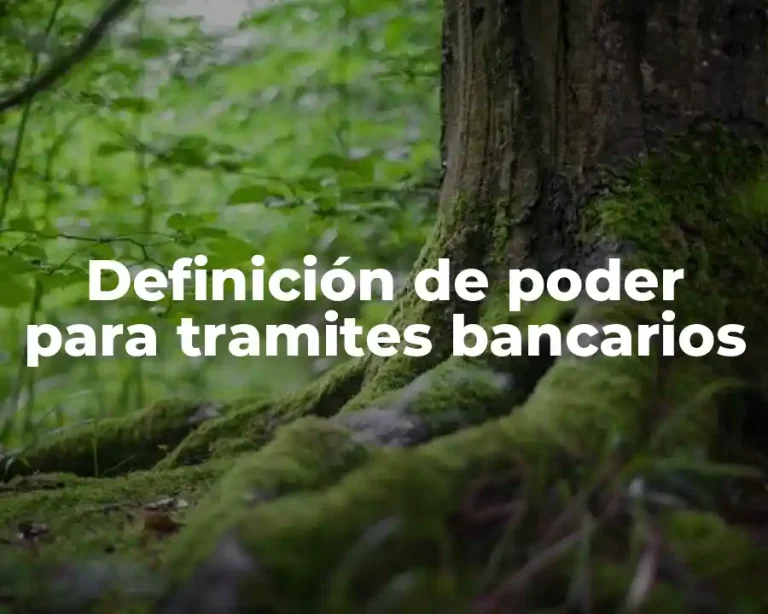 Definición de poder para tramites bancarios