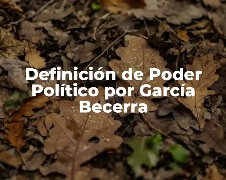 Definición de Poder Político por García Becerra