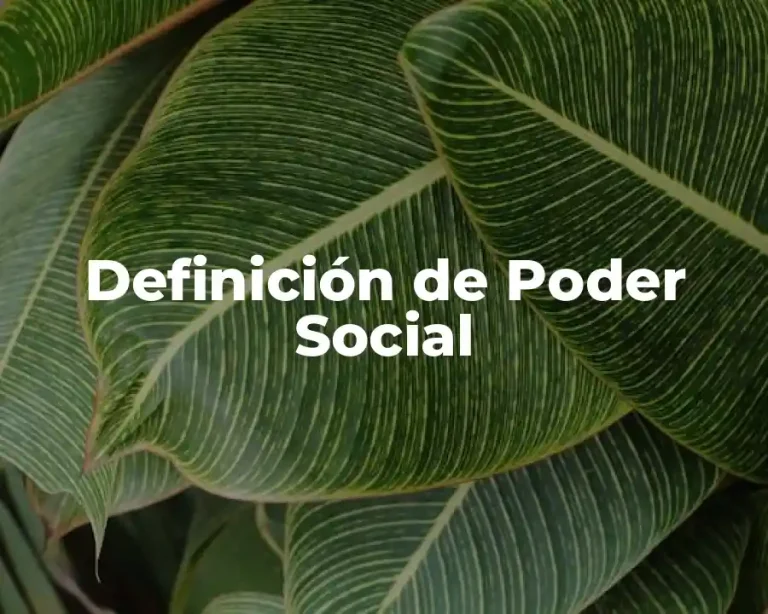 Definición de Poder Social