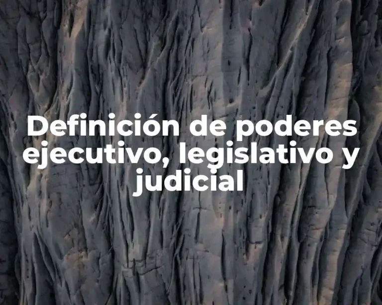 Definición de poderes ejecutivo, legislativo y judicial