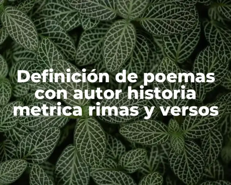 Definición de poemas con autor historia metrica rimas y versos