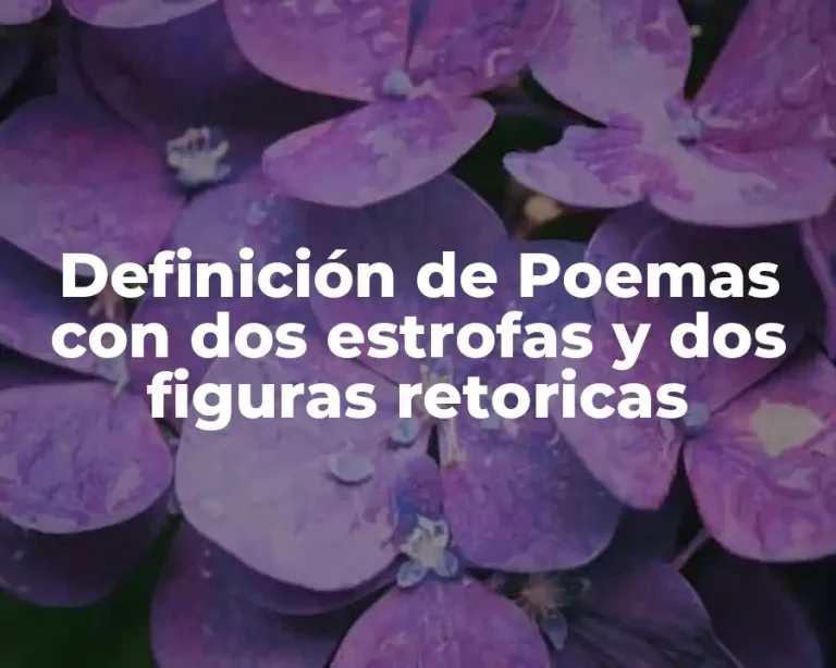 Definición de Poemas con dos estrofas y dos figuras retoricas