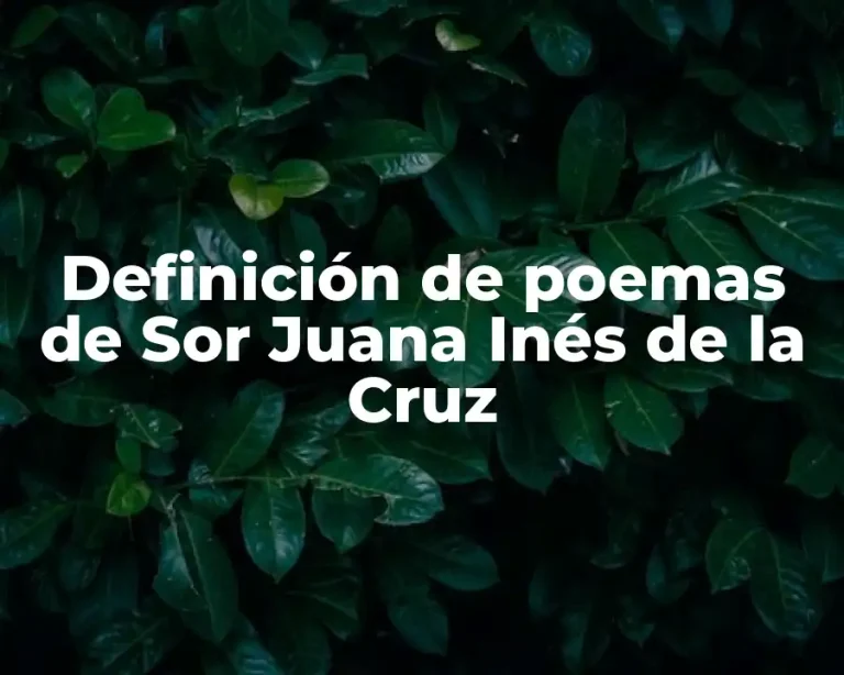 Definición de poemas de Sor Juana Inés de la Cruz
