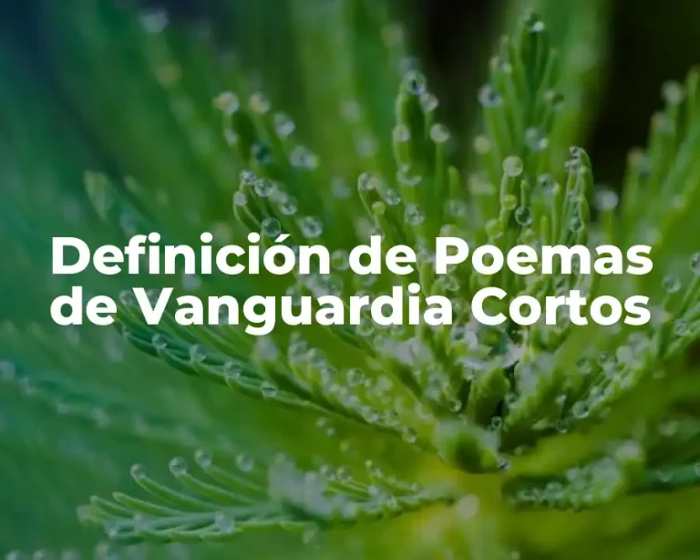 Definición de Poemas de Vanguardia Cortos