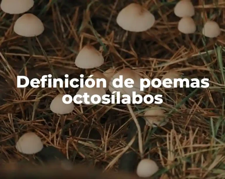 Definición de poemas octosílabos