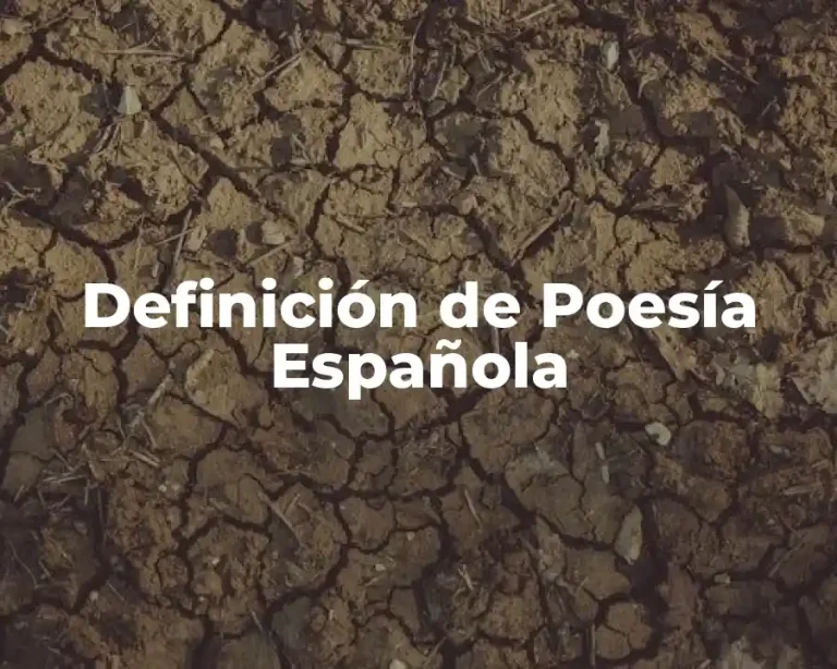 Definición de Poesía Española