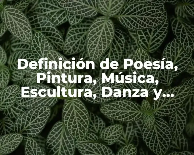 Definición de Poesía, Pintura, Música, Escultura, Danza y Arquitectura