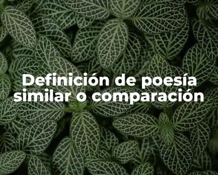 Definición de poesía similar o comparación