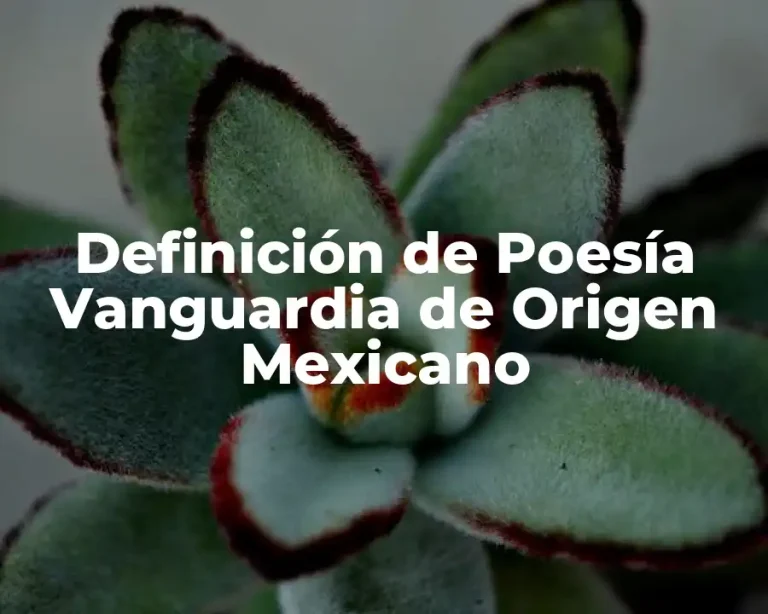 Definición de Poesía Vanguardia de Origen Mexicano