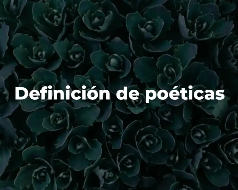 Definición de poéticas