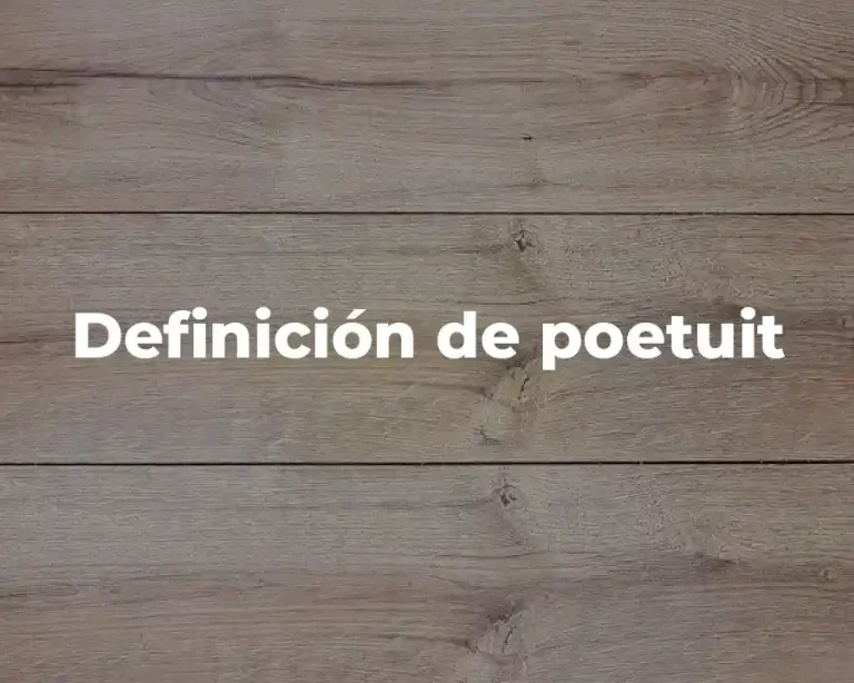 Definición de poetuit