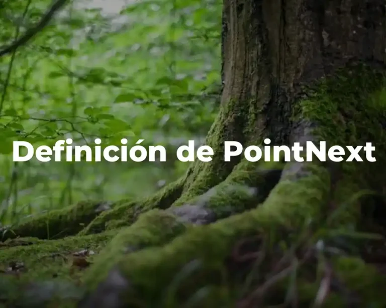 Definición de PointNext