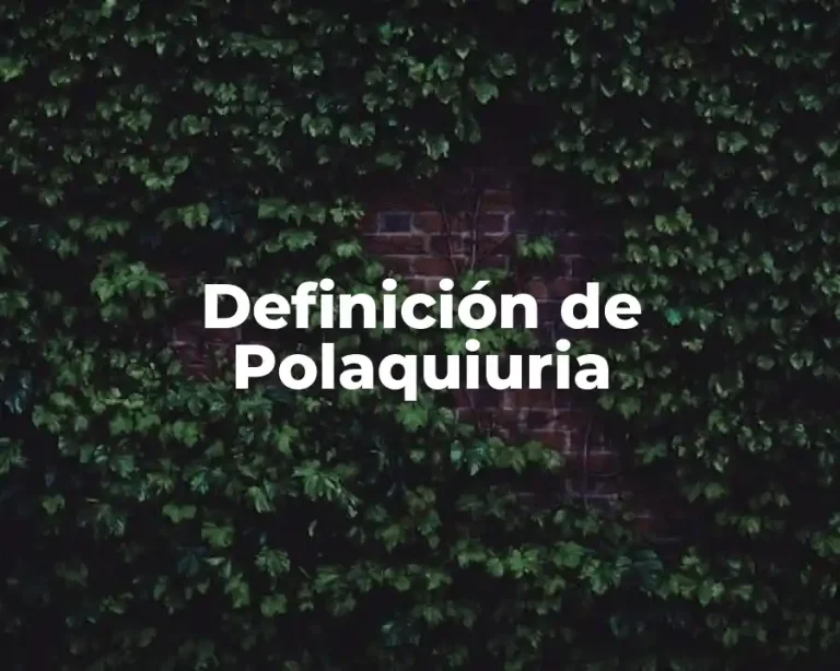 Definición de Polaquiuria