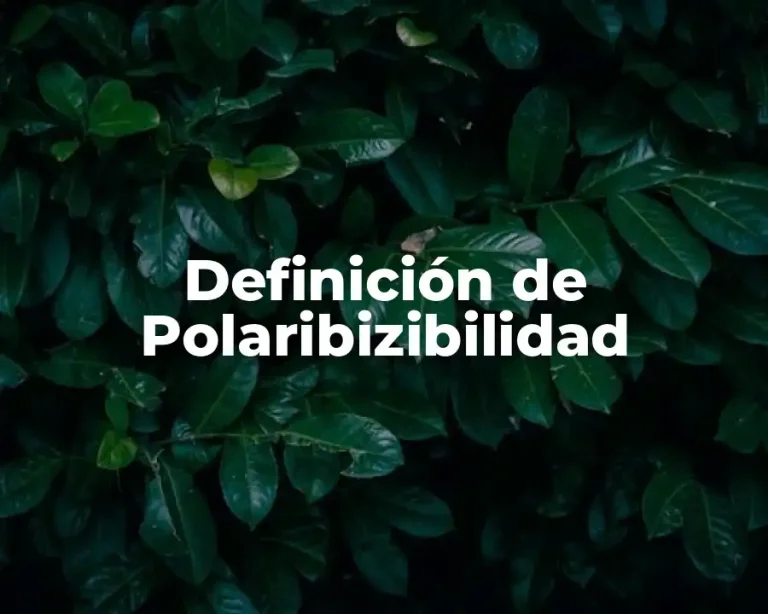 Definición de Polaribizibilidad