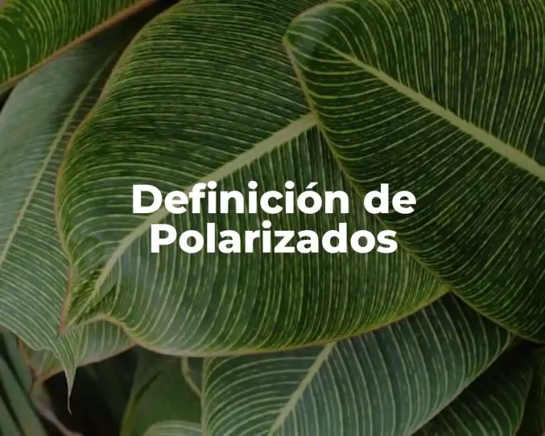 Definición de Polarizados