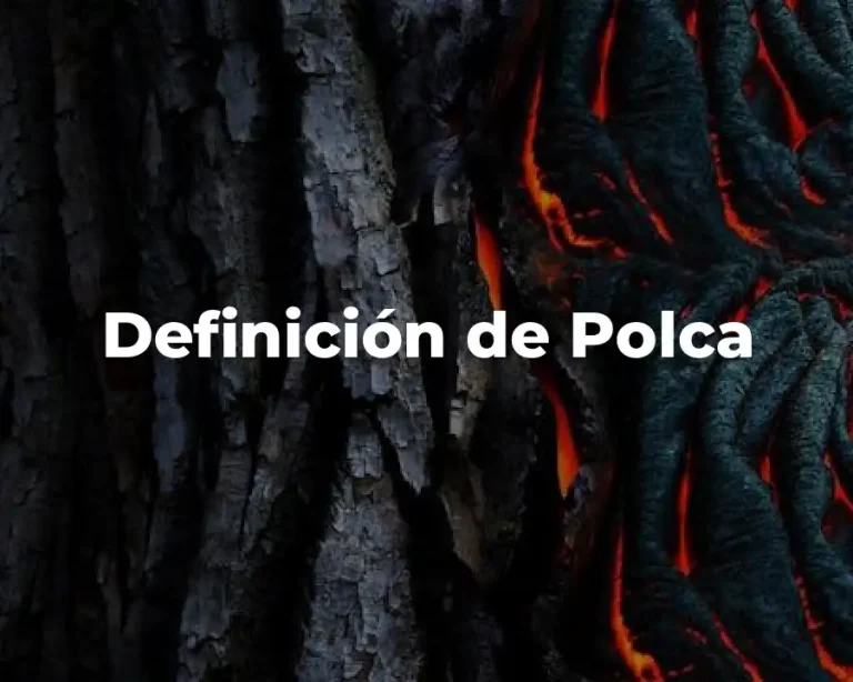 Definición de Polca