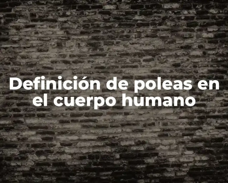 Definición de poleas en el cuerpo humano