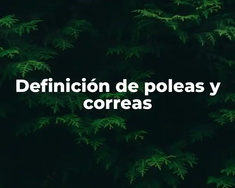 Definición de poleas y correas
