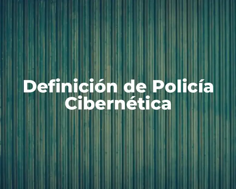 Definición de Policía Cibernética