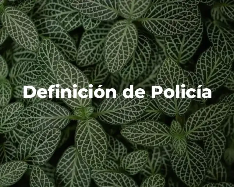 Definición de Policía