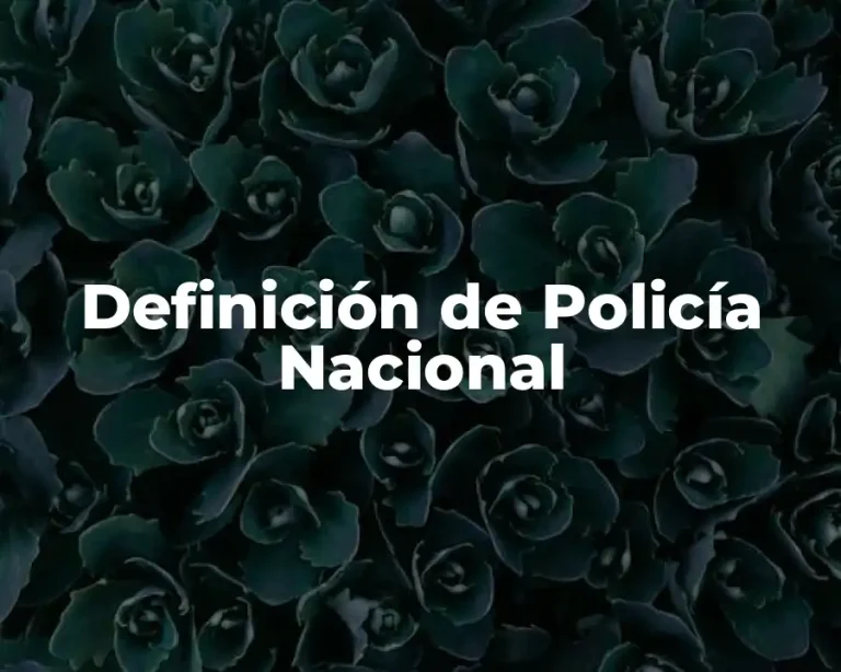 Definición de Policía Nacional