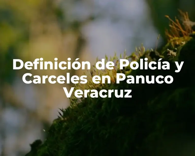 Definición de Policía y Carceles en Panuco Veracruz