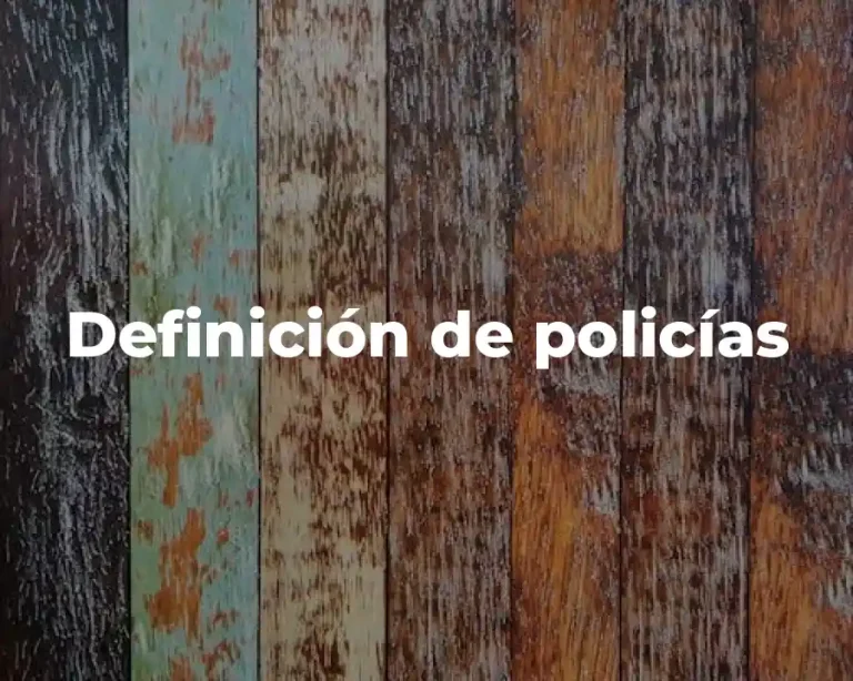 Definición de policías
