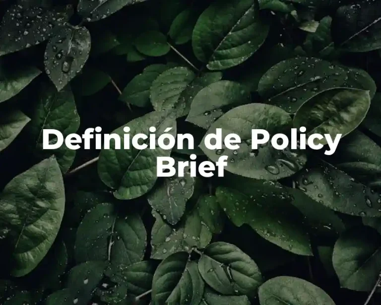 Definición de Policy Brief
