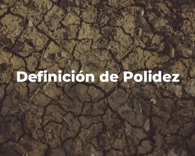 Definición de Polidez
