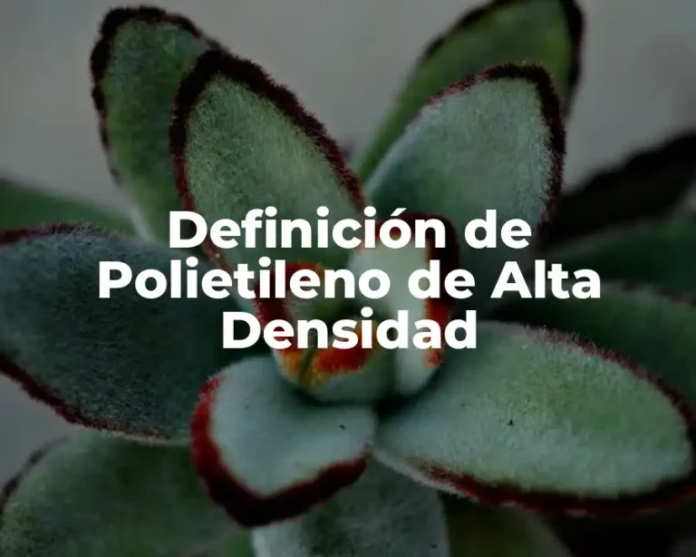 Definición de Polietileno de Alta Densidad