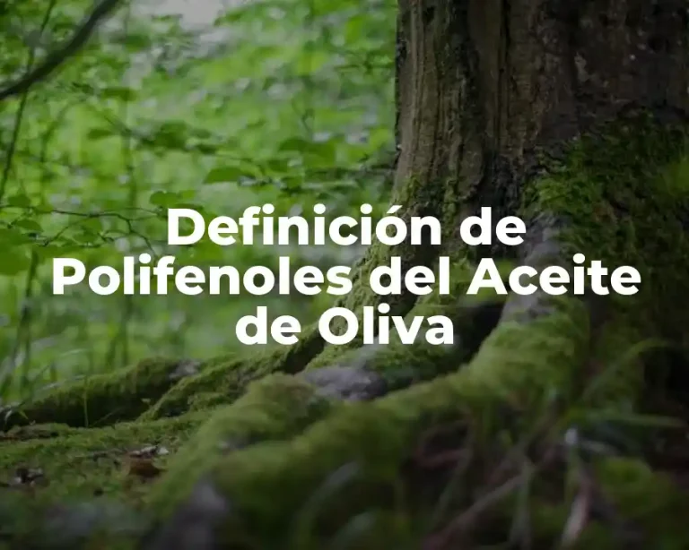 Definición de Polifenoles del Aceite de Oliva