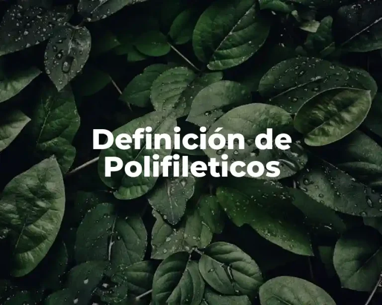 Definición de Polifileticos