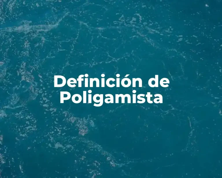 Definición de Poligamista