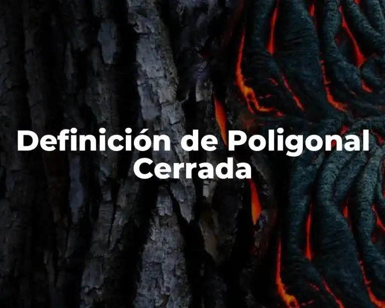 Definición de Poligonal Cerrada